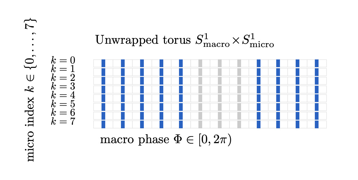 Macro x micro torus unwrapped