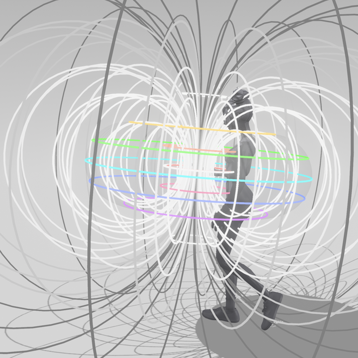 A 3D figure encircled by many nested looping lines forming a torus of poloidal field lines around the body.